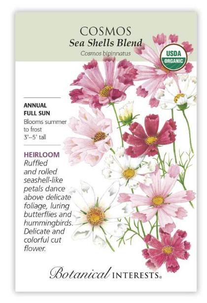 BI Cosmos Sea Shells Blend Org 2034