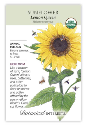 BI Sunflower Lemon Queen Org 2027