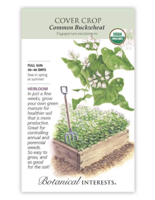 BI Cover Crop Buckwheat Org (Lrg) 7606