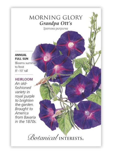 BI Morning Glory Grandpa Ott's 1154