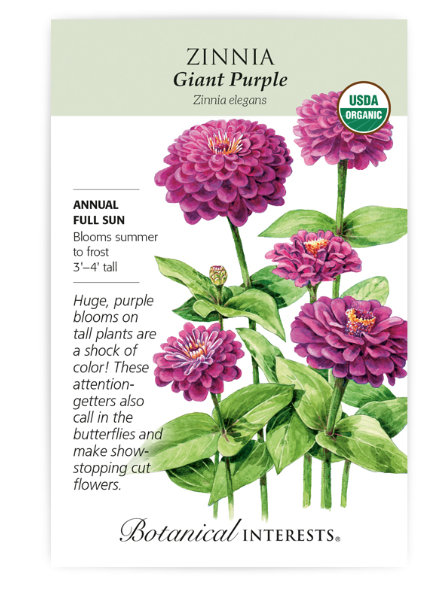 BI Zinnia Giant Purple Org 2004