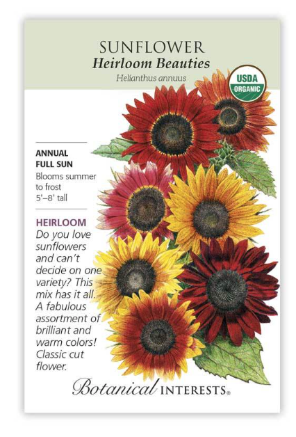 BI Sunflower Heirloom Beauties Org 2052