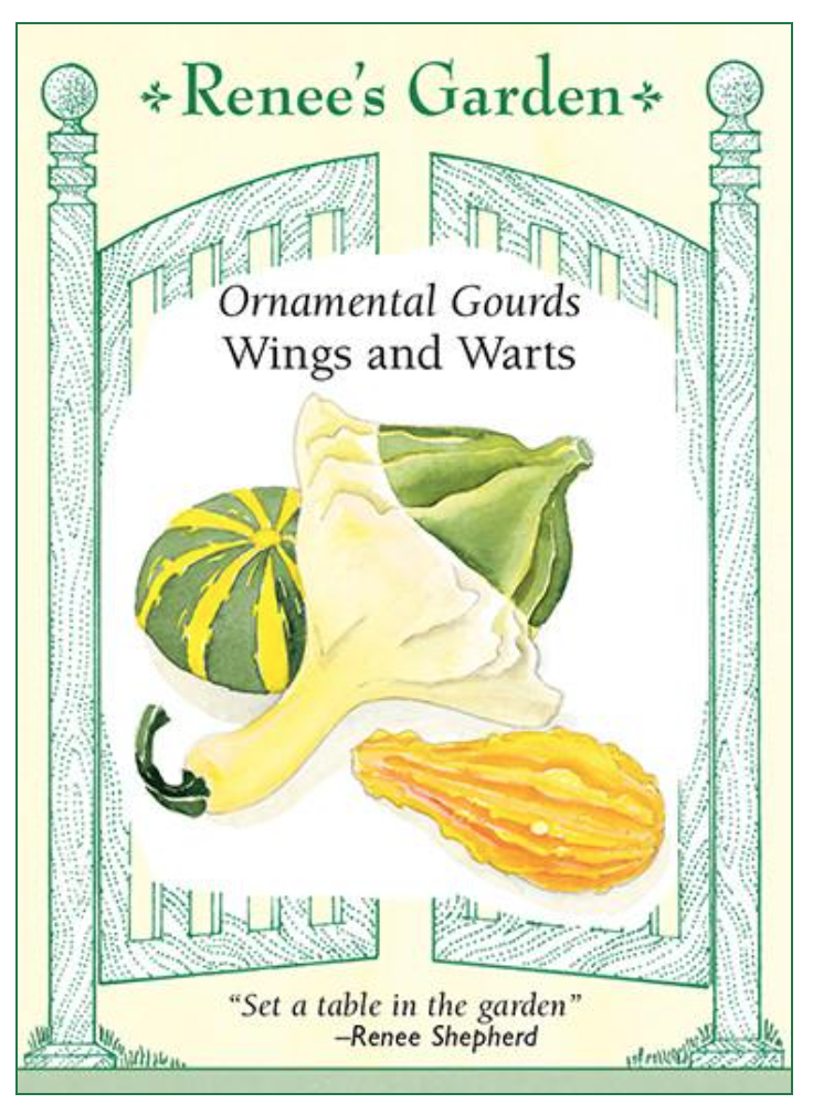 Renee's Gourd Wings and Warts Ornamental 5239