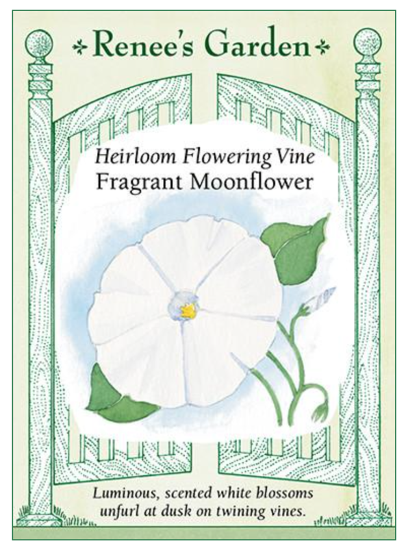 Renee's Moonflower Vine 5107