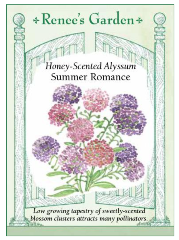 Renee's Alyssum Summer Romance Mix 5850