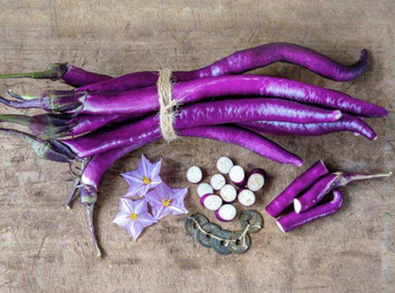 eggplantページ 000319127-1?hei=124&wid=124&$