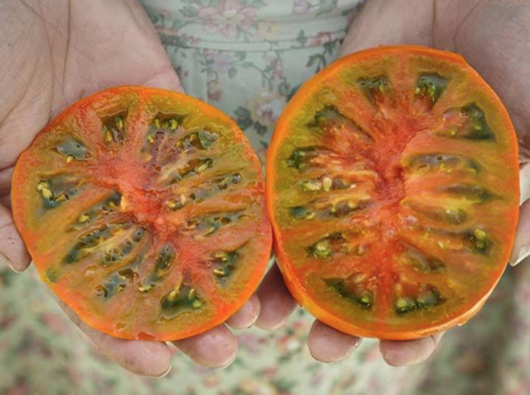 Baker Creek Tomato Thorburn’s Terra Cotta Store The Plant Foundry