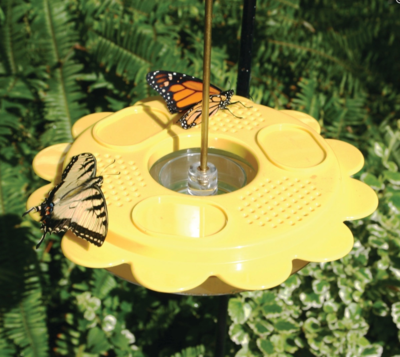 Zbird Flutterby Feeder 12oz (1001)
