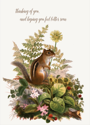 PFD Thinking Of You Chipmunk 5x7 Card with glitter CG-TOYC