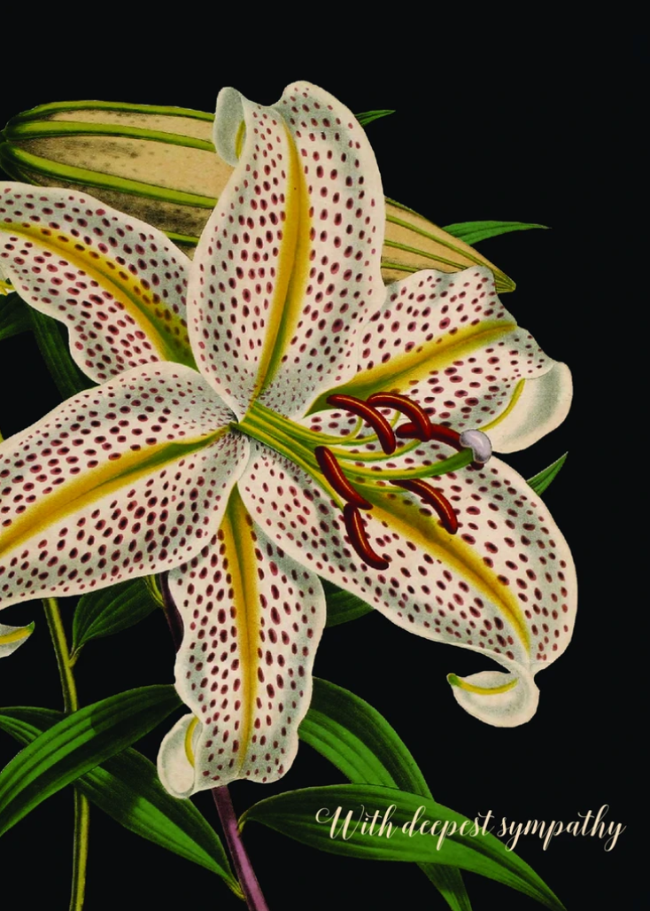 PFD With Deepest Sympathy (Lily) 5x7 Card C-WDSL