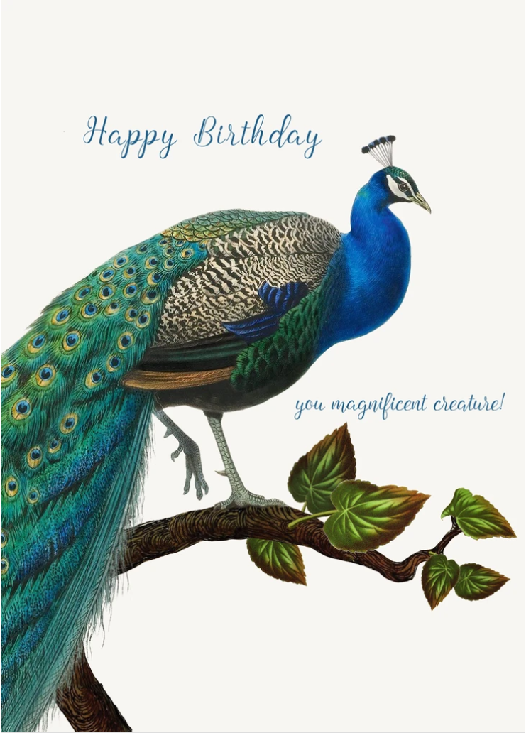 PFD Happy Birthday You Magnificent Creature 5x7 Card C-HBYM