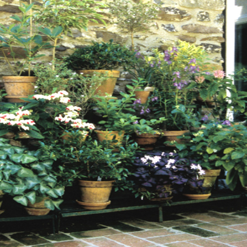 Kinsman Rectangle Tiered Plant Stand