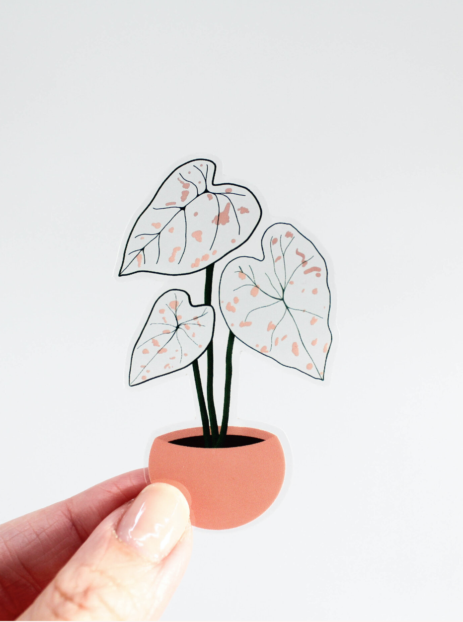 Hemleva Caladium Sticker (CAL)