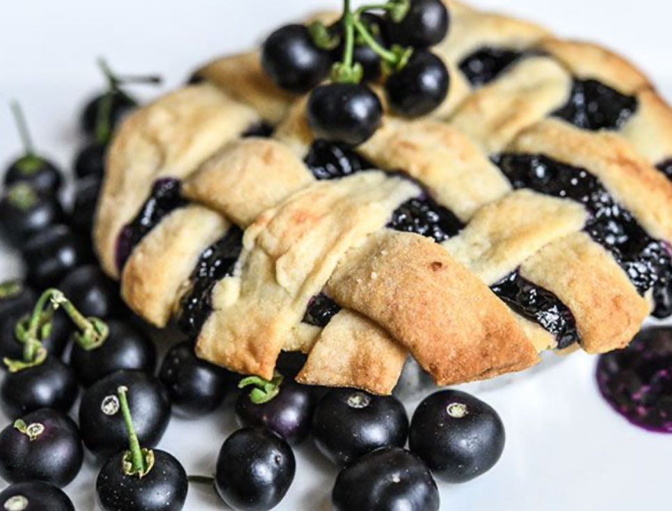 Baker Creek Huckleberry Garden Store The Plant Foundry