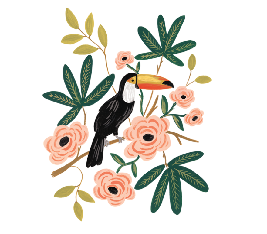Tattly Toucan 0879WS