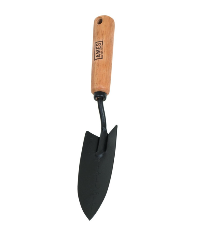 DTE Ames Hand Transplanter w/Wood Handle 24462