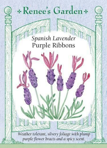 Renee's Lavender Spanish Purple Ribbons 5032