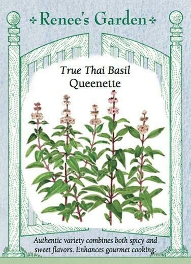 Renee's Basil Thai Queenette 5836