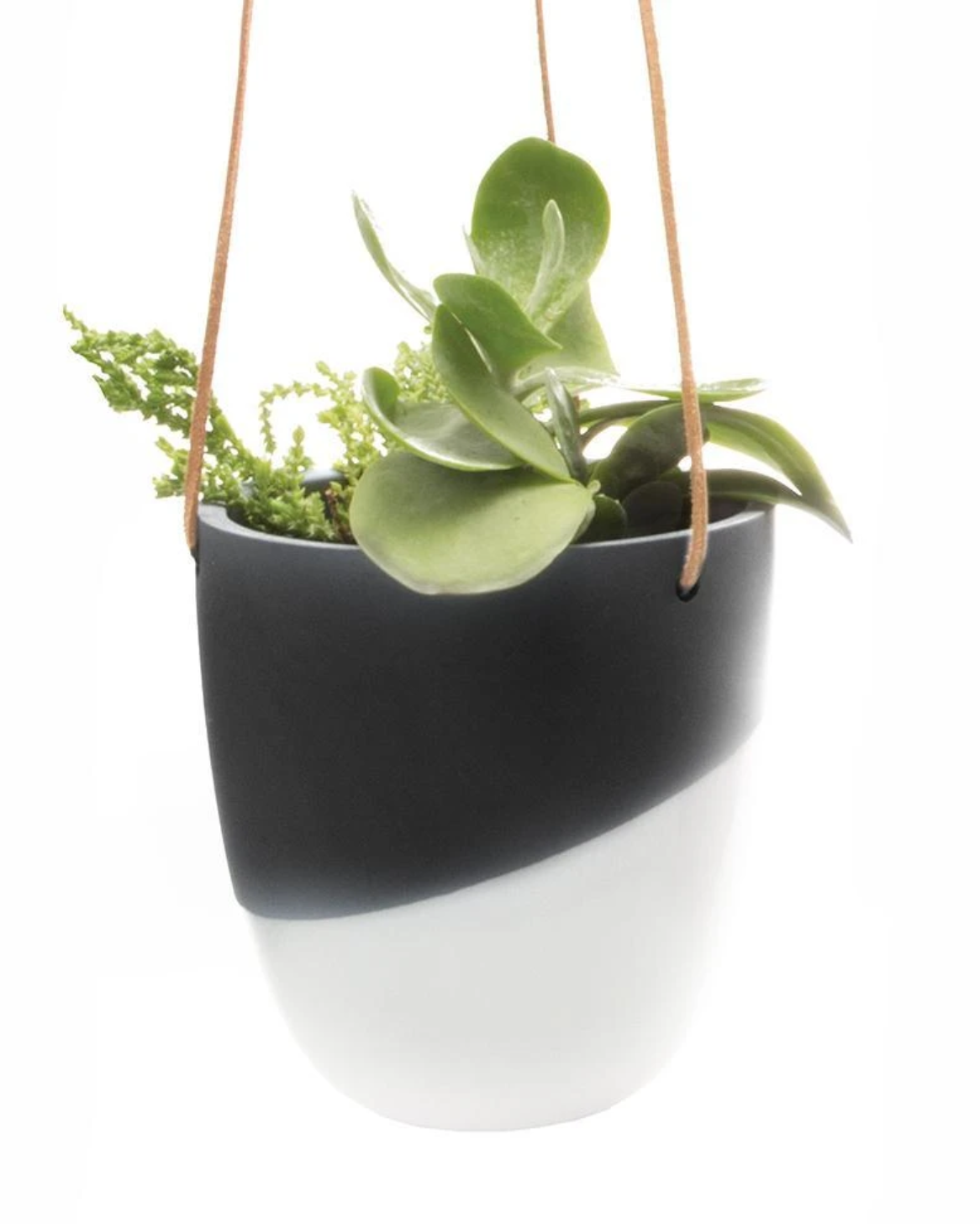 Chive Bobbin Hanging Planter-Black (BOHPBL)