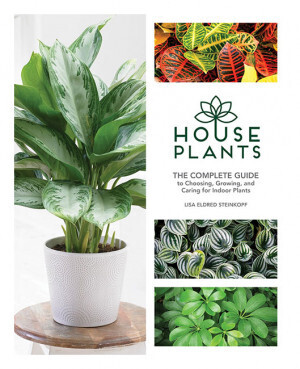 DTE Houseplants: The Complete Guide (86690)