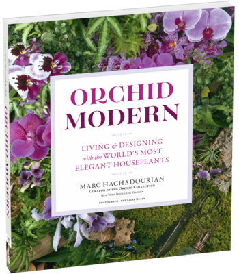 Orchid Modern Book