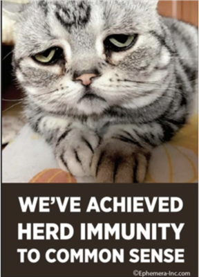 Ephemera We've Achieved Herd Immunity to Common Sense Magnet 19598
