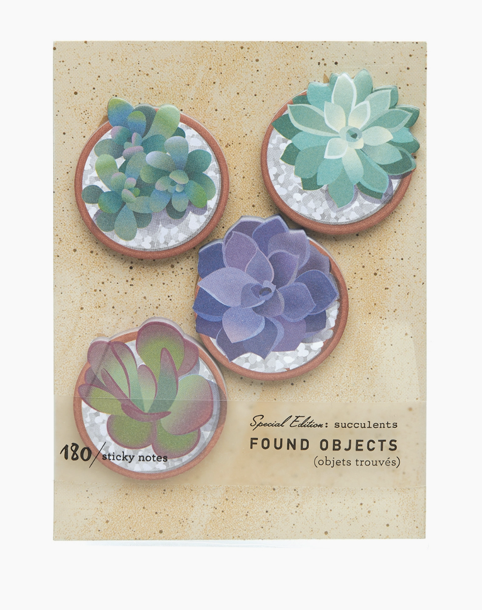 GOAW Found Objects Succulents GWW811e