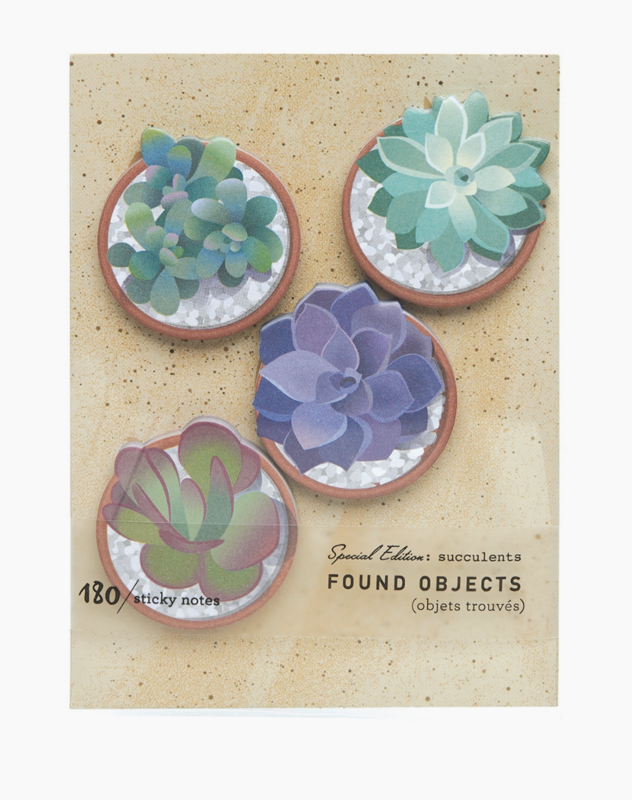 GOAW Found Objects Succulents GWW811e