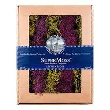SuperMoss Lichen Branched Parmelia Mix 23596