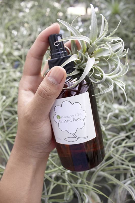 Plantaflor Airplant Fertilizer Bottle Pre-Mixed 8 oz (5737)