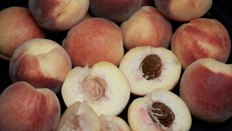 DWN Miniature Peach Snow Babe on Lovell $60.99