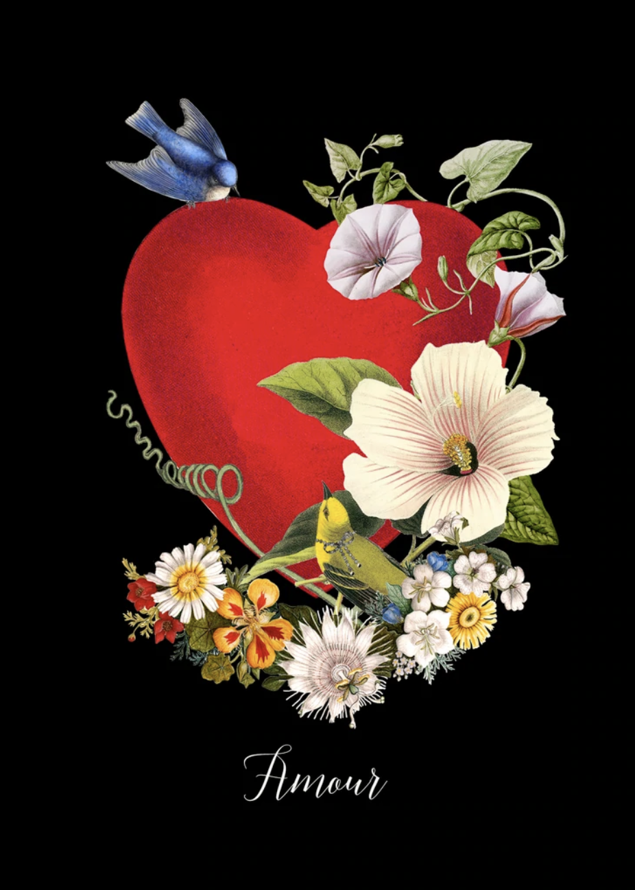 PFD Amour 5x7 Card C-AMO