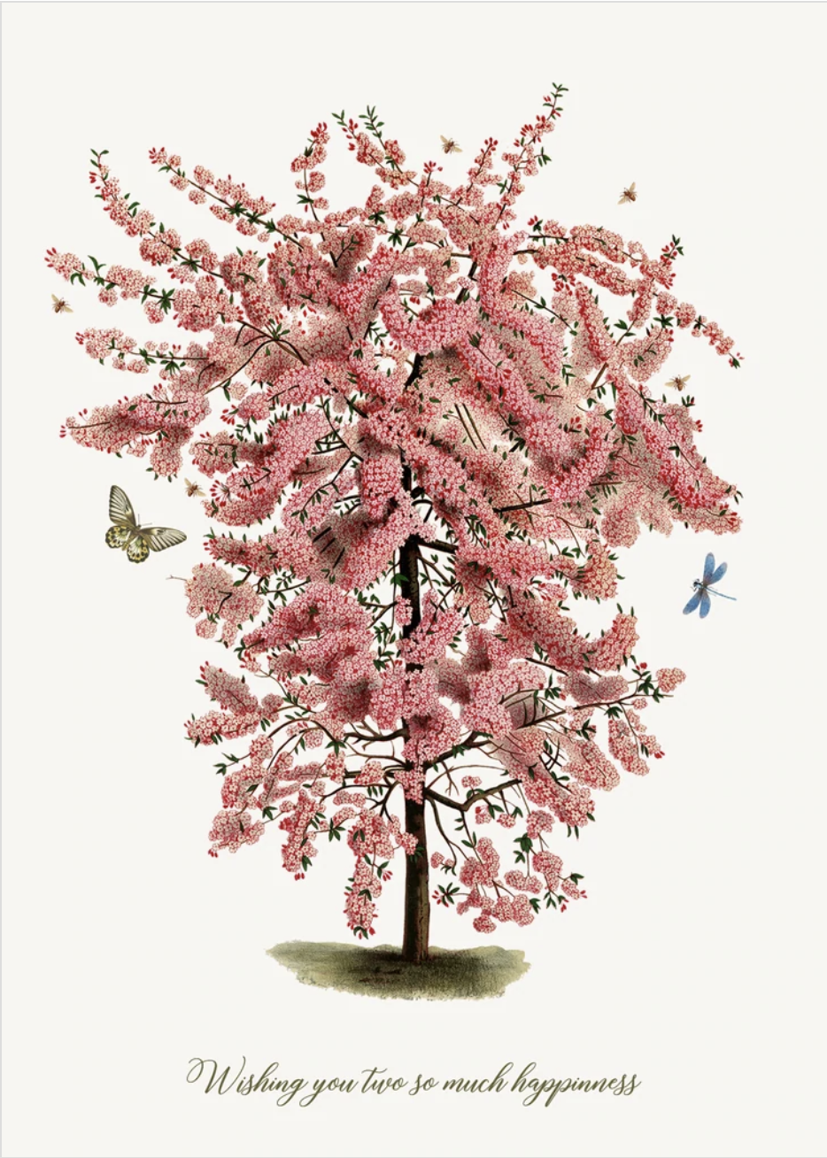 PFD Wishing You Two So Much Happiness 5x7 Cards C-SMH