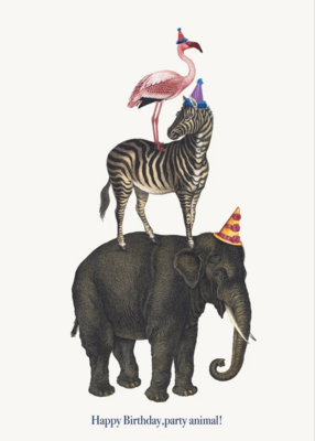 PFD Happy Birthday Party Animal 5x7 Card C-HBPA