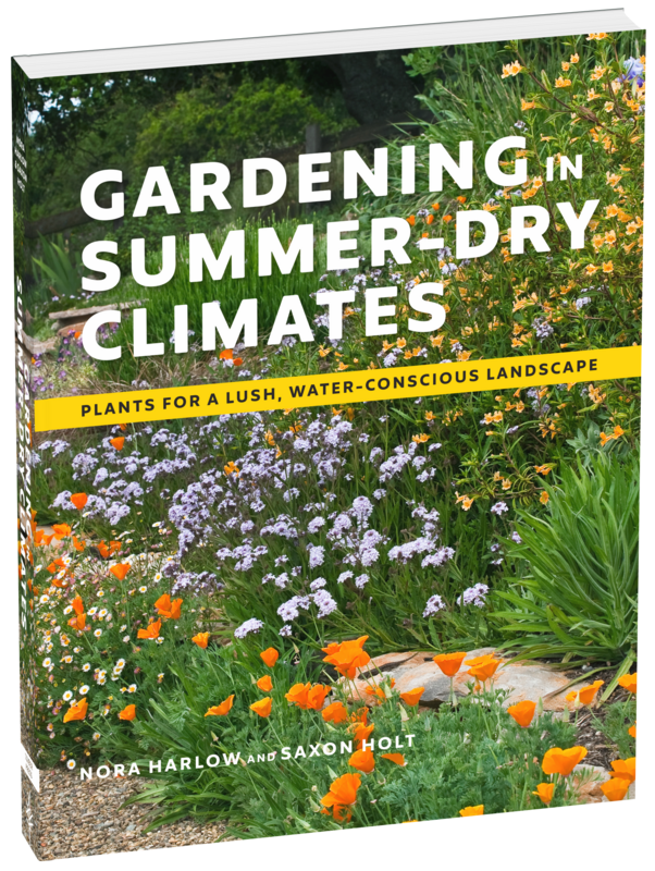 Gardening in Summer Dry Climates - Book 689912