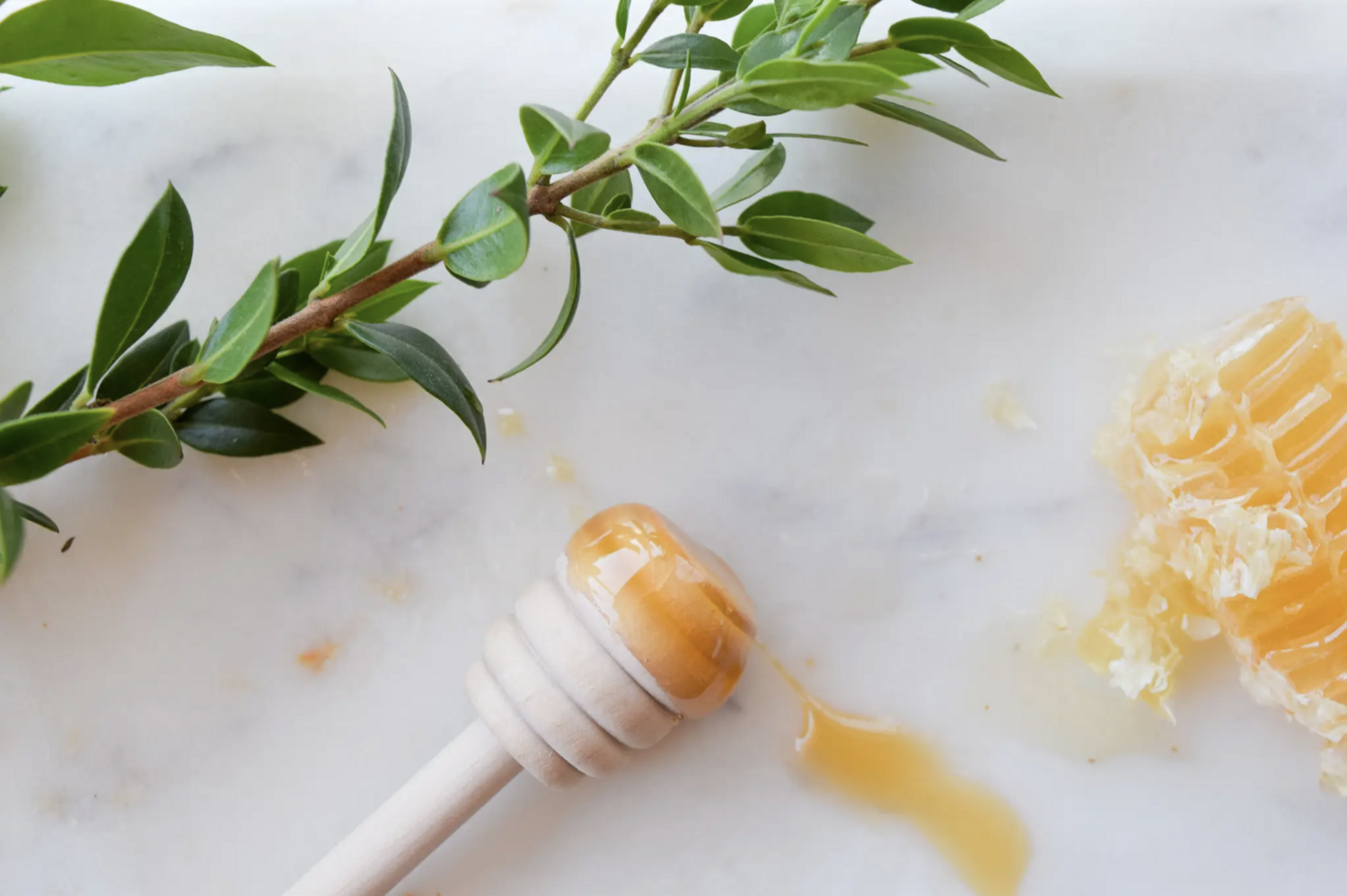 The Bee Box WS Honey Dipper