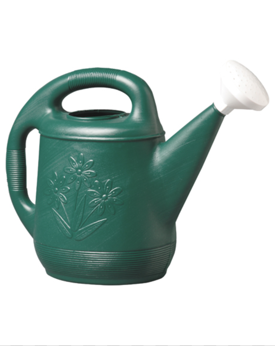 BFG Classic 2gal Watering Can Hunter NOV30301 