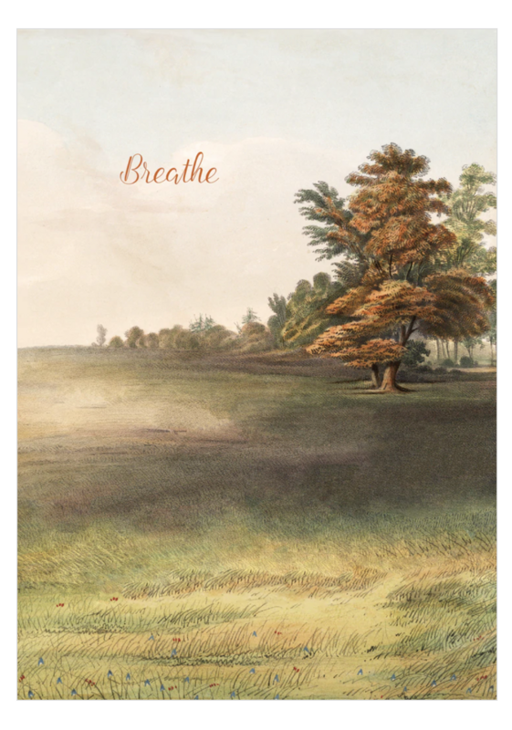 PFD Breathe 5x7 Card C-BT