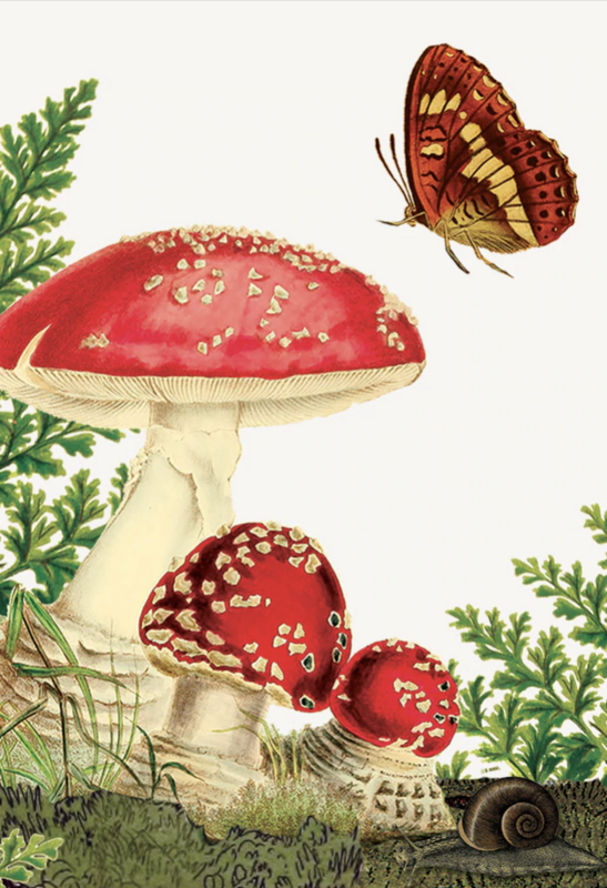 PFD Mushroom Mini Card MI-MUSH