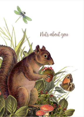 PFD Nuts About You 5x7 Card C-NAY