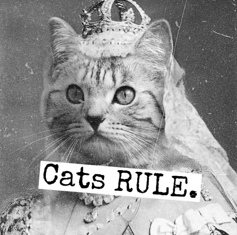RRS Cats Rule Magnet (m2)