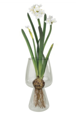 Homart Bulb Vase Glass (6479-0)