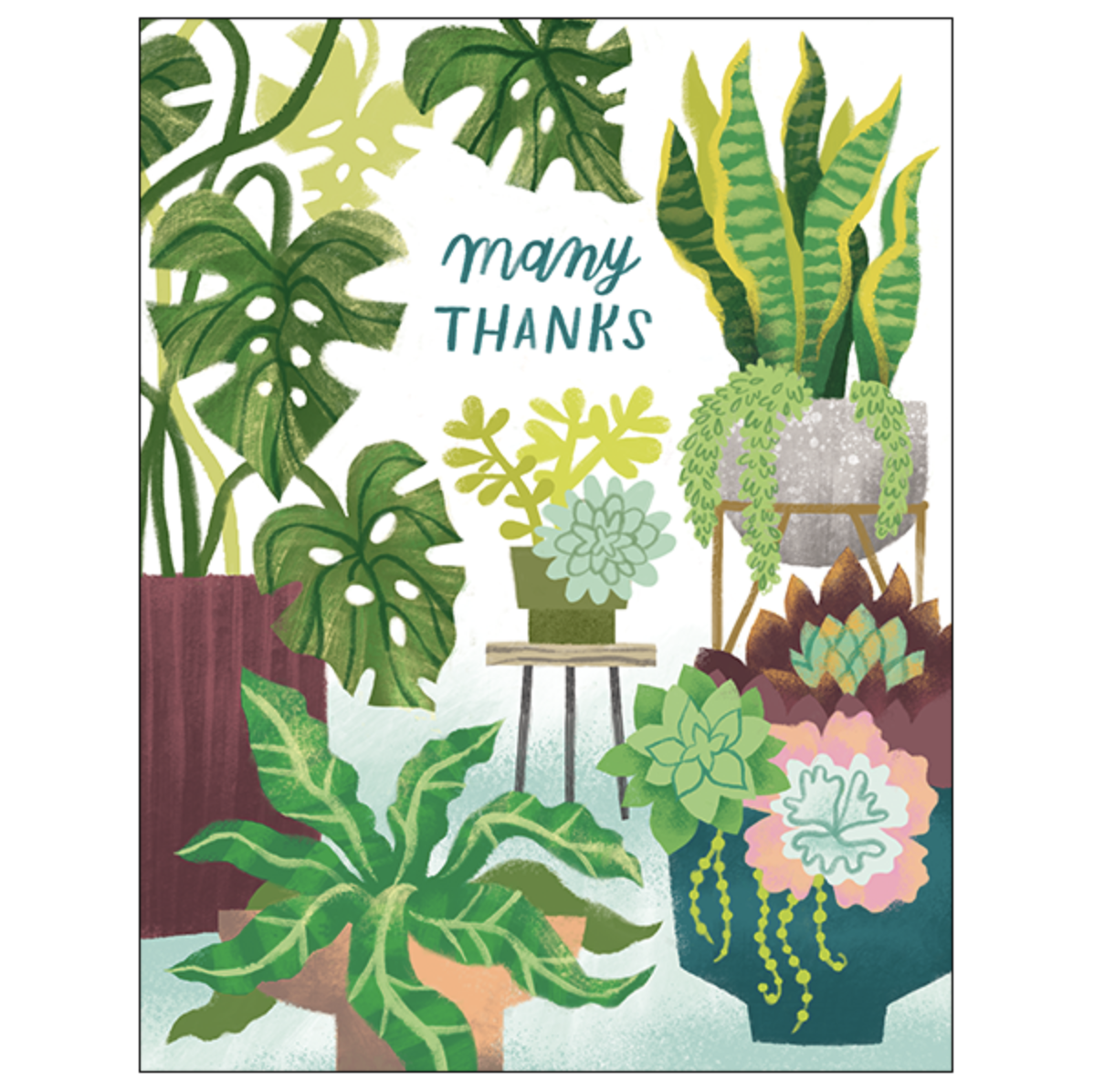 Studio Eleven Houseplants Thank You Card (No SRP) MN022U-C