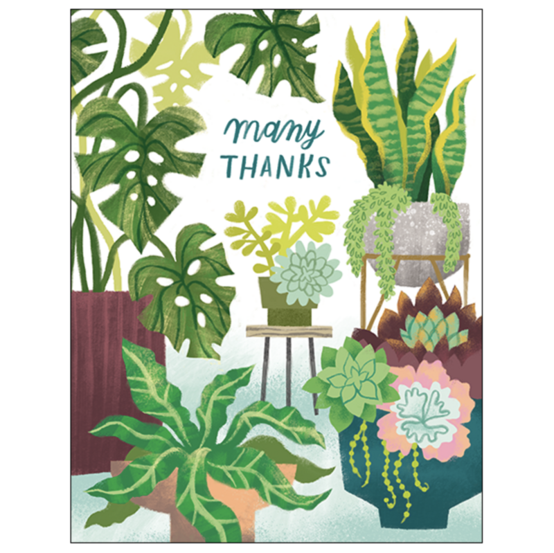 Studio Eleven Houseplants Thank You Card (No SRP) MN022U-C