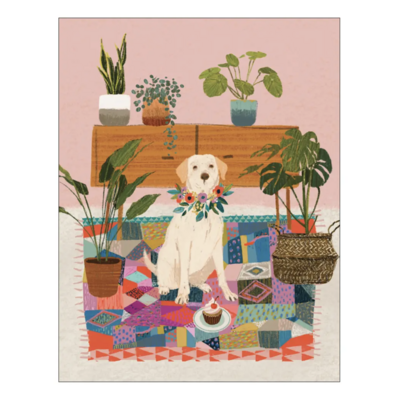 Studio Eleven Dog With Plants Birthday Card (No SRP) VB061U-C