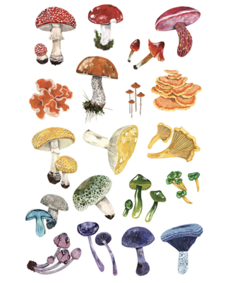 Tattly Colorful Mushrooms Tattoo Sheet 8010
