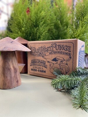 Far West Fungi Mini Farm Mushroom Kit 