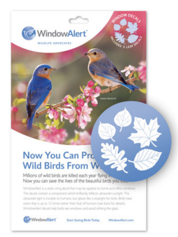 Zbird Window Alert Leaf Medley (00001)