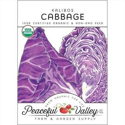 PV Cabbage Kalibos Org SNV8599