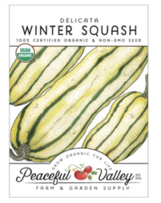 PV Squash Winter Delicata Org SNV8339